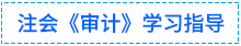 01審計學習指導