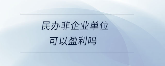 民辦非企業(yè)單位可以盈利嗎