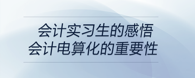 會(huì)計(jì)實(shí)習(xí)生的感悟---會(huì)計(jì)電算化的重要性