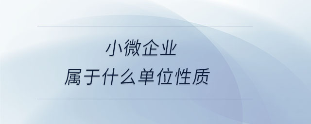 小微企業(yè)屬于什么單位性質(zhì)