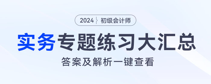 2024年《初級(jí)會(huì)計(jì)實(shí)務(wù)》專題練習(xí)大匯總,，內(nèi)附答案及解析,！