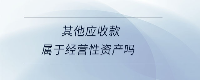 其他應(yīng)收款屬于經(jīng)營(yíng)性資產(chǎn)嗎