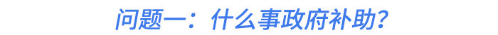 問題一：什么事政府補(bǔ)助？