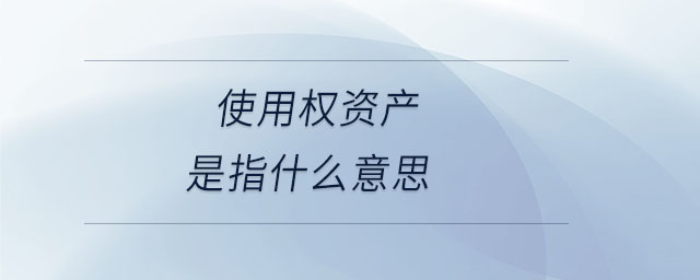 使用權(quán)資產(chǎn)是指什么意思