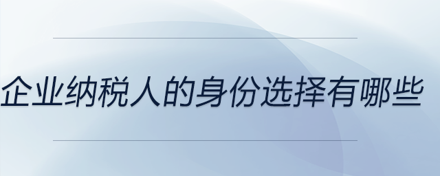 企業(yè)納稅人的身份選擇有哪些