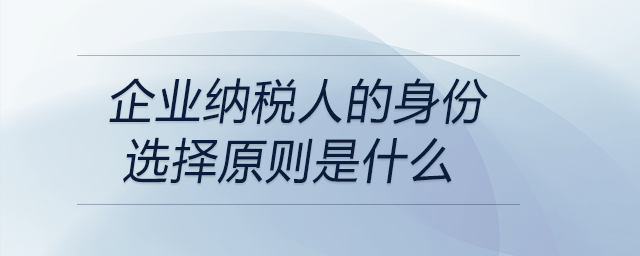 企業(yè)納稅人的身份選擇原則是什么