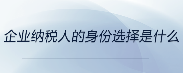 企業(yè)納稅人的身份選擇是什么