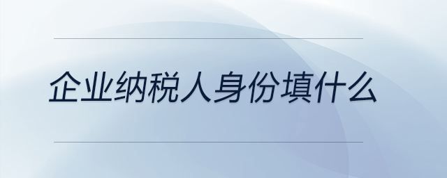 企業(yè)納稅人身份填什么