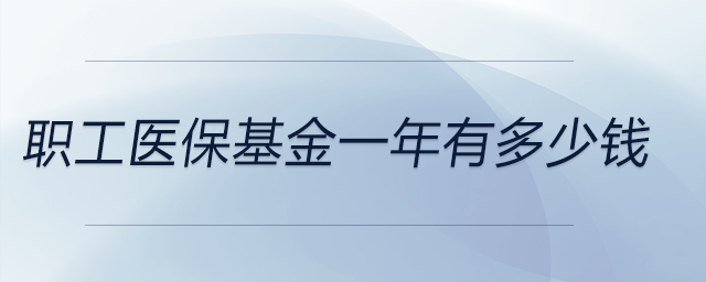 職工醫(yī)保基金一年有多少錢