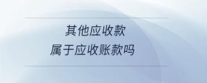 其他應(yīng)收款屬于應(yīng)收賬款嗎