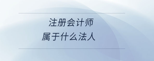 注冊會計師屬于什么法人