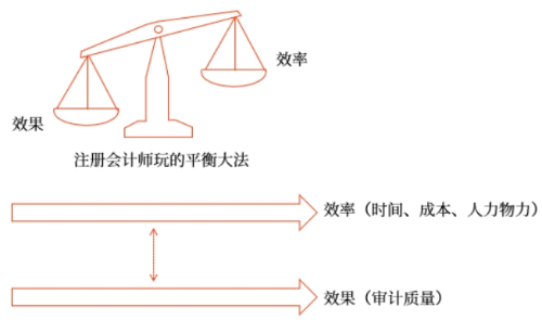 審計(jì)效率與效果的平衡,，完成審計(jì)目標(biāo)的需要