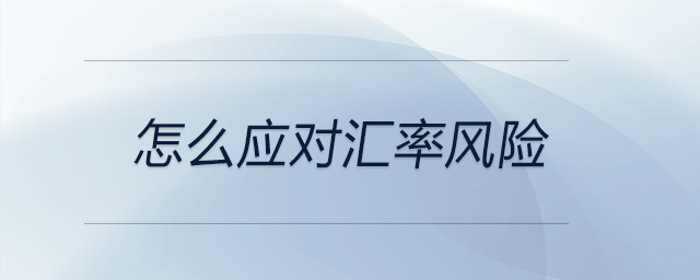 怎么應(yīng)對(duì)匯率風(fēng)險(xiǎn)