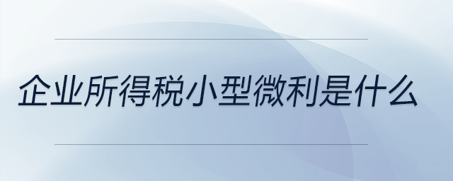 企業(yè)所得稅小型微利是什么