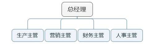 職能制組織結(jié)構(gòu)框架