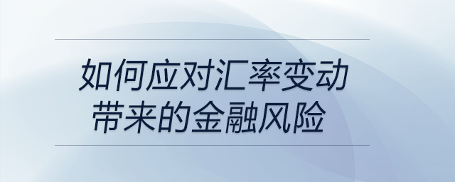 如何應(yīng)對匯率變動帶來的金融風險