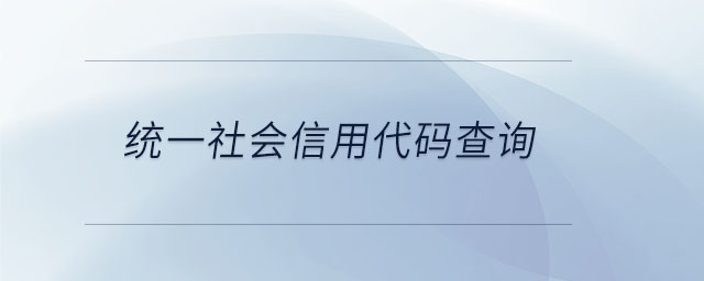 統(tǒng)一社會(huì)信用代碼查詢(xún)