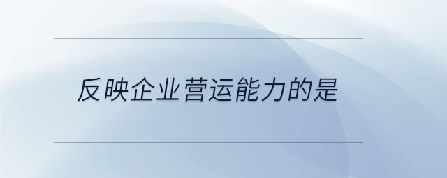 反映企業(yè)營運能力的是