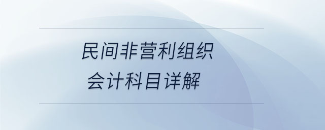 民間非營利組織會計科目詳解