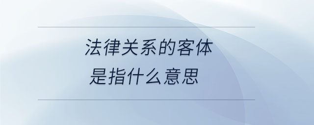 法律關系的客體是指什么意思