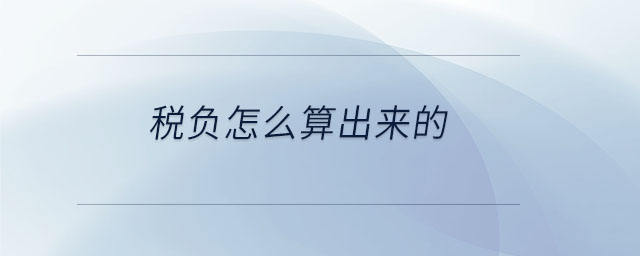 稅負(fù)怎么算出來的