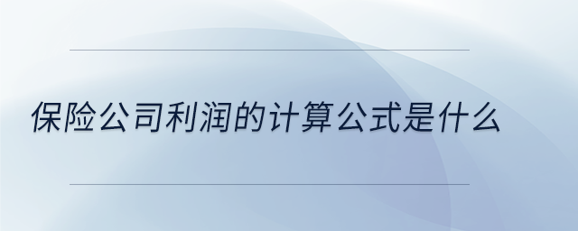 保險公司利潤的計算公式是什么