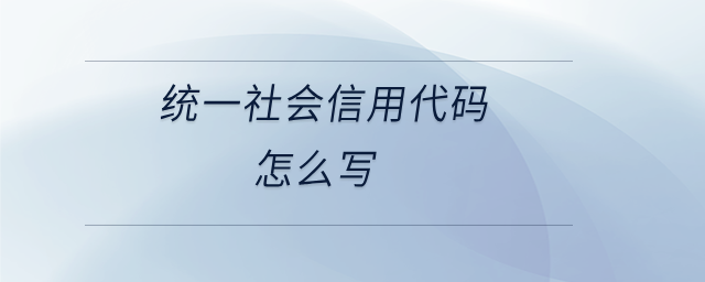 統(tǒng)一社會信用代碼怎么寫