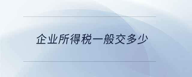 企業(yè)所得稅一般交多少