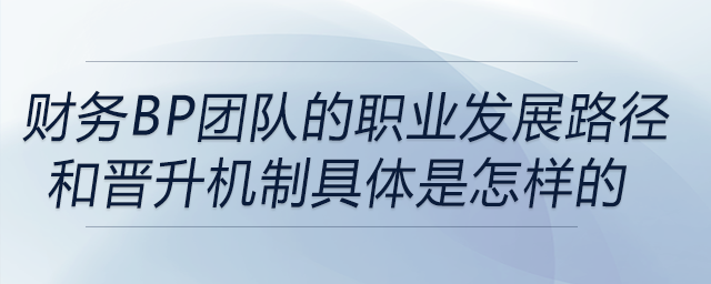 財務(wù)BP團隊的職業(yè)發(fā)展路徑和晉升機制具體是怎樣的