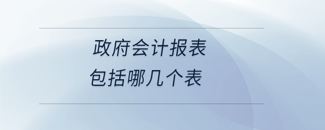 政府會(huì)計(jì)報(bào)表包括哪幾個(gè)表