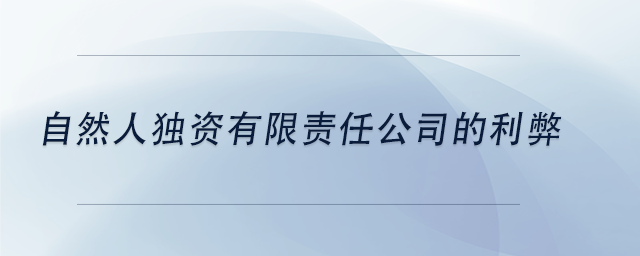 中級會計自然人獨資有限責任公司的利弊