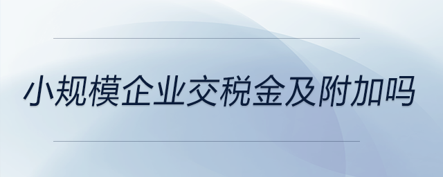 小規(guī)模企業(yè)交稅金及附加嗎