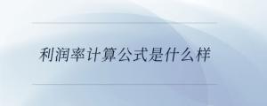 利潤(rùn)率計(jì)算公式是什么樣