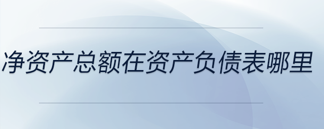 凈資產(chǎn)總額在資產(chǎn)負債表哪里