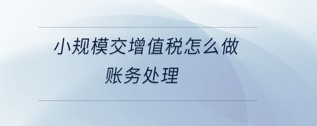 小規(guī)模交增值稅怎么做賬務處理