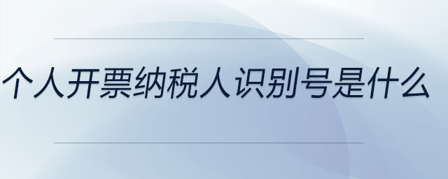 個(gè)人開票納稅人識別號是什么