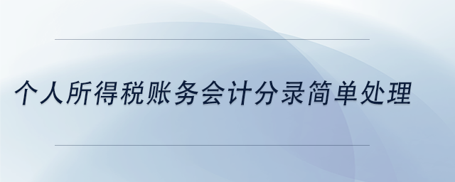 中級會計個人所得稅賬務(wù)會計分錄簡單處理