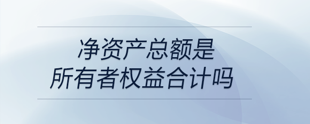 凈資產(chǎn)總額是所有者權(quán)益合計(jì)嗎