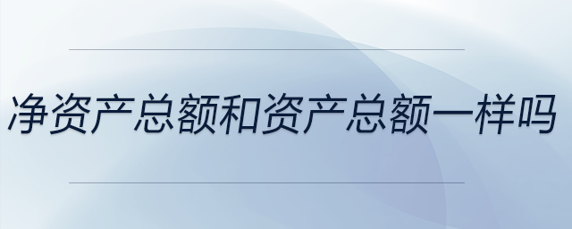 凈資產總額和資產總額一樣嗎