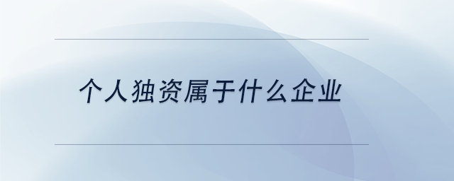 中級(jí)會(huì)計(jì)個(gè)人獨(dú)資屬于什么企業(yè)