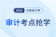 審計(jì)風(fēng)險(xiǎn)模型分析_25年注冊(cè)會(huì)計(jì)師審計(jì)考點(diǎn)搶學(xué)