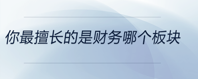 你最擅長的是財務(wù)哪個板塊,？分享一個成功案例