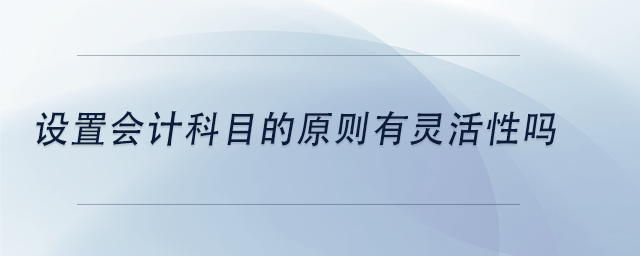 中級會計設(shè)置會計科目的原則有靈活性嗎