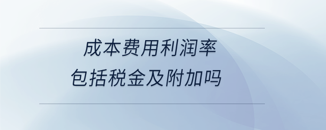 成本費(fèi)用利潤率包括稅金及附加嗎