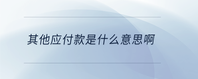 其他應(yīng)付款是什么意思啊