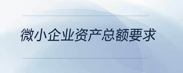 微小企業(yè)資產(chǎn)總額要求