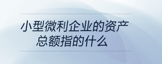 小型微利企業(yè)的資產(chǎn)總額指的什么