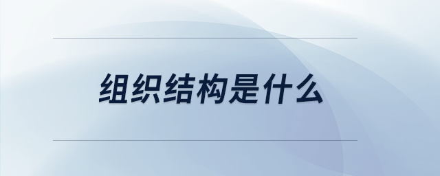 組織結(jié)構(gòu)是什么