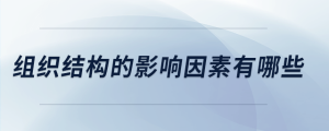 組織結(jié)構(gòu)的影響因素有哪些