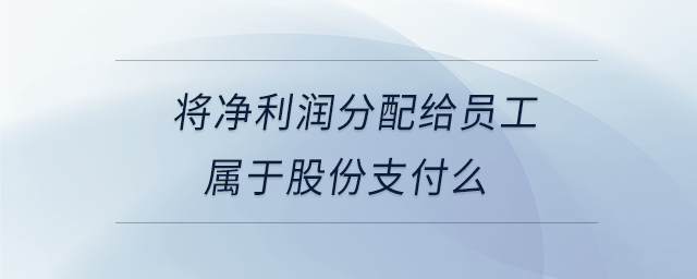 將凈利潤(rùn)分配給員工屬于股份支付么